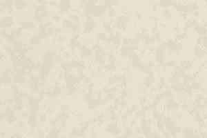 Линолеум Taralay Premium Osmoz 4364 Ivory New фото  | FLOORDEALER